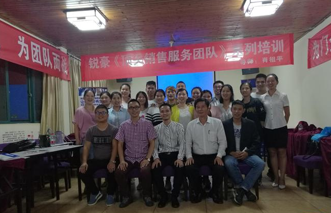 《銷售溝通藝術》